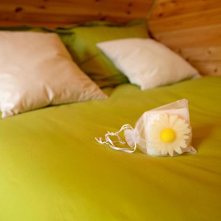 Herzeele Au Pied Du Freneヴィラ エクステリア 写真